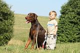 ENFANT ET CHIEN 252
